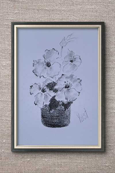 Anemonen im Topf