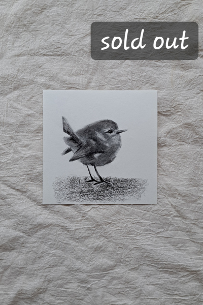 Kleiner Vogel