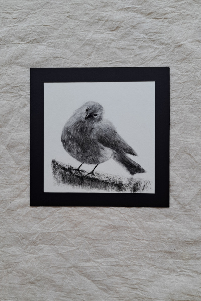 Charcoal Bird Study