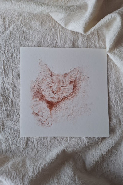 Schlafende Katze
