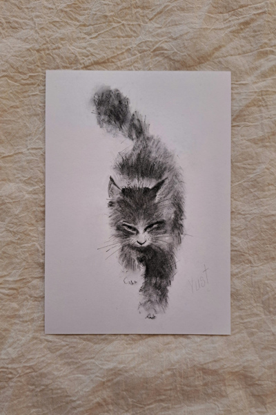Kohlezeichnung: Gehende Katze